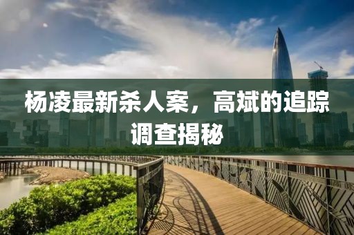楊凌最新殺人案，高斌的追蹤調查揭秘