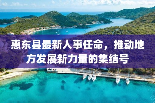 惠東縣最新人事任命，推動(dòng)地方發(fā)展新力量的集結號