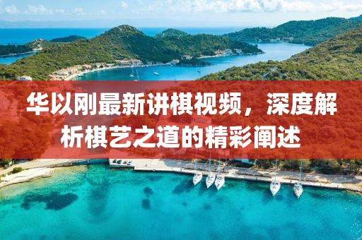 華以剛最新講棋視頻，深度解析棋藝之道的精彩闡述