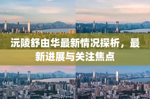 沅陵舒由華最新情況探析，最新進(jìn)展與關(guān)注焦點(diǎn)