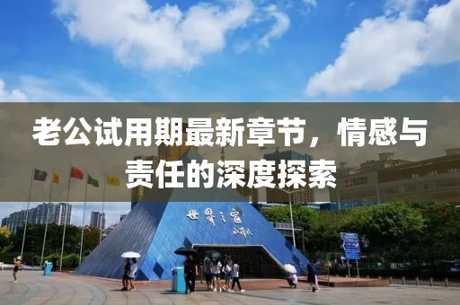老公試用期最新章節，情感與責任的深度探索
