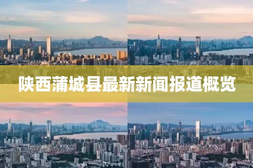 陜西蒲城縣最新新聞報道概覽