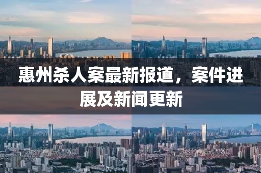 惠州殺人案最新報道，案件進(jìn)展及新聞更新