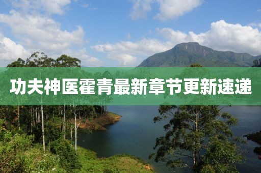 功夫神醫霍青最新章節更新速遞