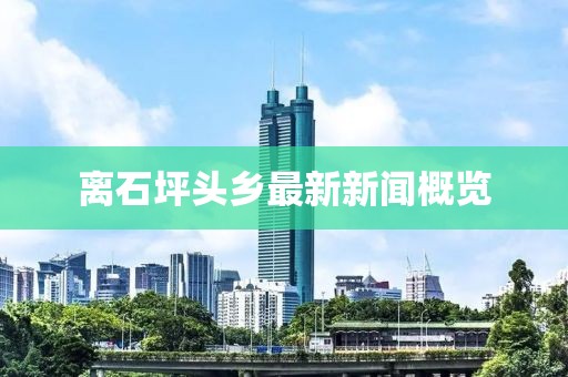 離石坪頭鄉最新新聞概覽