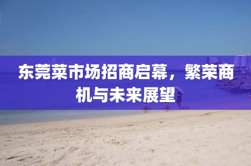 東莞菜市場(chǎng)招商啟幕，繁榮商機與未來(lái)展望