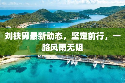 劉鐵男最新動(dòng)態(tài)，堅定前行，一路風(fēng)雨無(wú)阻
