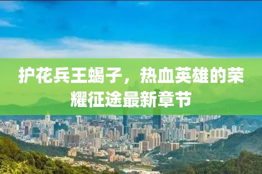 護花兵王蝎子，熱血英雄的榮耀征途最新章節