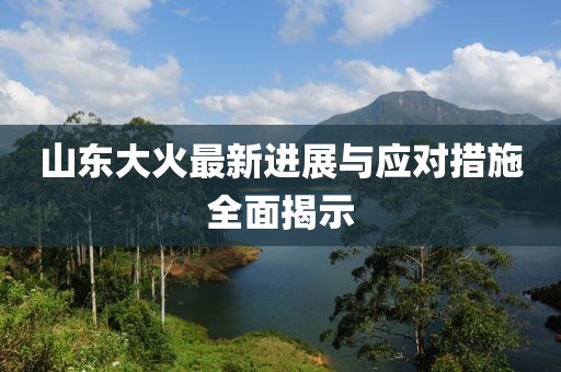 山東大火最新進(jìn)展與應對措施全面揭示