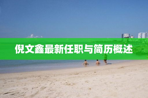 倪文鑫最新任職與簡(jiǎn)歷概述