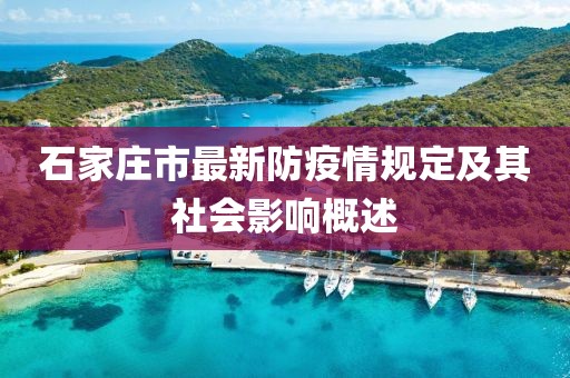 石家莊市最新防疫情規定及其社會(huì )影響概述