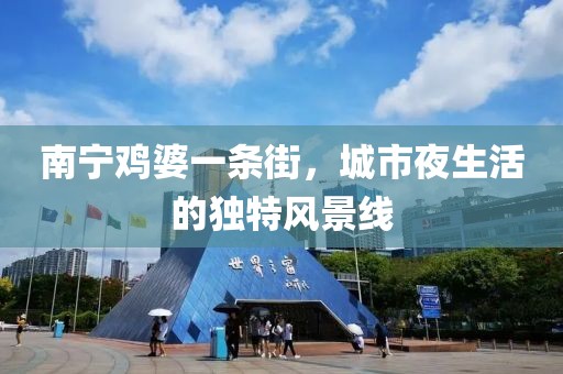 南寧雞婆一條街，城市夜生活的獨特風(fēng)景線(xiàn)