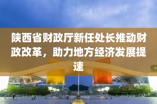 陜西省財政廳新任處長(cháng)推動(dòng)財政改革，助力地方經(jīng)濟發(fā)展提速