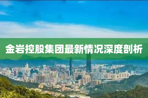金巖控股集團最新情況深度剖析