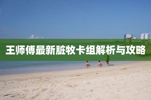 王師傅最新臟牧卡組解析與攻略