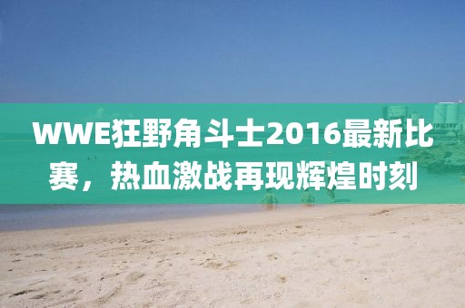 WWE狂野角斗士2016最新比賽，熱血激戰再現輝煌時(shí)刻