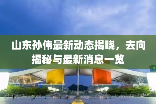 山東孫偉最新動(dòng)態(tài)揭曉，去向揭秘與最新消息一覽