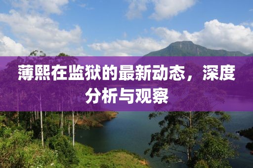 薄熙在監獄的最新動(dòng)態(tài)，深度分析與觀(guān)察