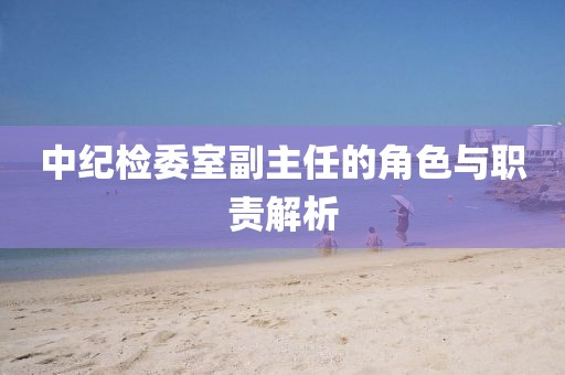 中紀檢委室副主任的角色與職責解析