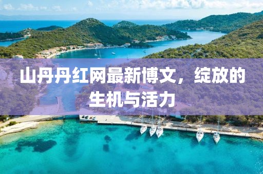山丹丹紅網(wǎng)最新博文，綻放的生機與活力