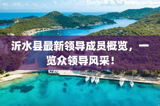 沂水縣最新領(lǐng)導成員概覽，一覽眾領(lǐng)導風(fēng)采！