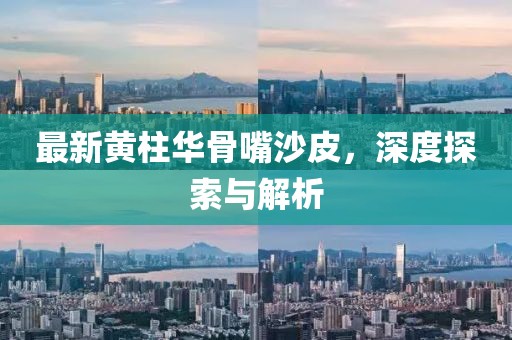 最新黃柱華骨嘴沙皮，深度探索與解析