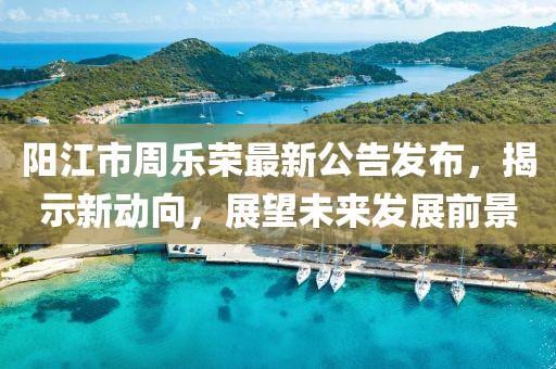 陽(yáng)江市周樂(lè )榮最新公告發(fā)布，揭示新動(dòng)向，展望未來(lái)發(fā)展前景