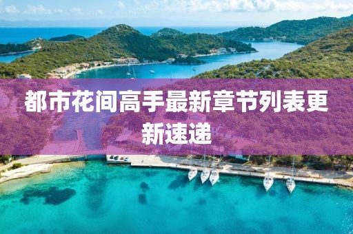 都市花間高手最新章節列表更新速遞