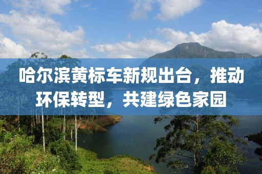 哈爾濱黃標車(chē)新規出臺，推動(dòng)環(huán)保轉型，共建綠色家園