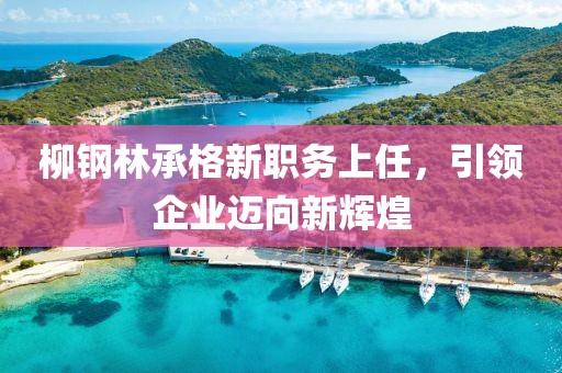 柳鋼林承格新職務(wù)上任，引領(lǐng)企業(yè)邁向新輝煌