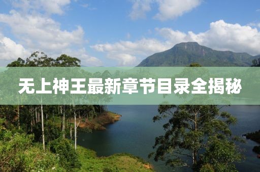 無(wú)上神王最新章節目錄全揭秘