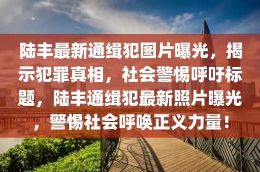 陸豐最新通緝犯圖片曝光，揭示犯罪真相，社會(huì )警惕呼吁標題，陸豐通緝犯最新照片曝光，警惕社會(huì )呼喚正義力量！