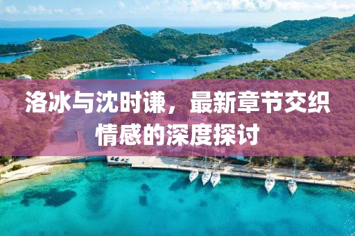 洛冰與沈時(shí)謙，最新章節交織情感的深度探討