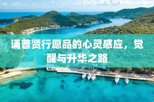 蝶翼天使 第20頁(yè)