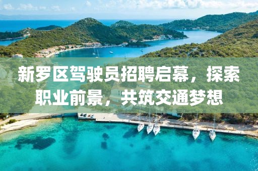 新羅區駕駛員招聘啟幕，探索職業(yè)前景，共筑交通夢(mèng)想