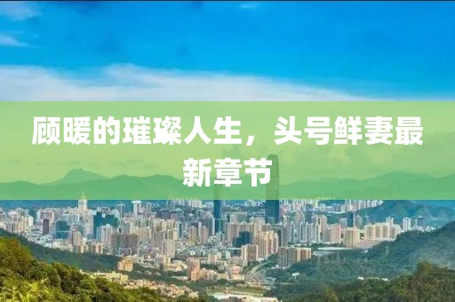 顧暖的璀璨人生，頭號鮮妻最新章節