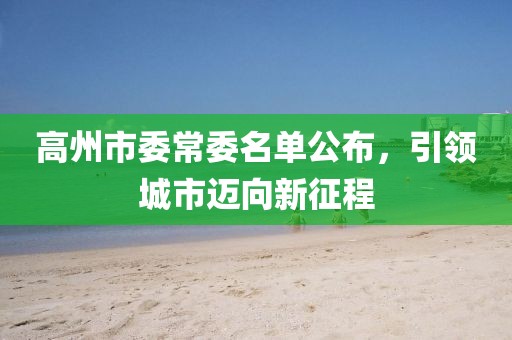 高州市委常委名單公布，引領(lǐng)城市邁向新征程