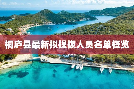 桐廬縣最新擬提拔人員名單概覽