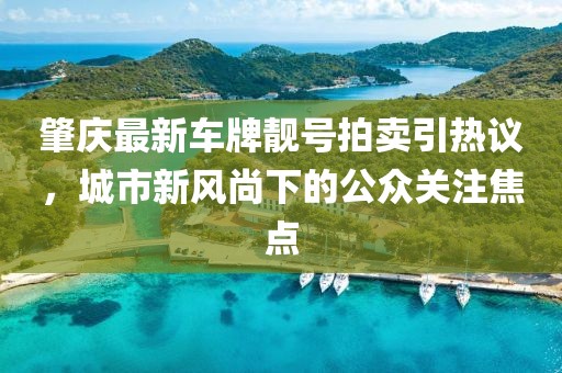 肇慶最新車(chē)牌靚號拍賣(mài)引熱議，城市新風(fēng)尚下的公眾關(guān)注焦點(diǎn)