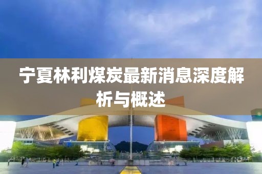 寧夏林利煤炭最新消息深度解析與概述