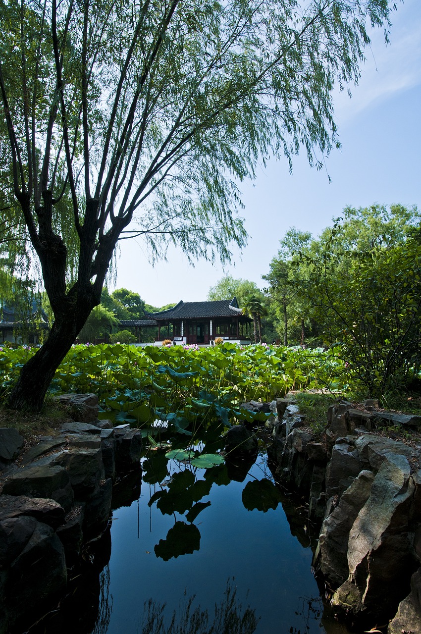 津雄鐵路最新進(jìn)展、影響與展望，揭秘最新動(dòng)態(tài)與未來(lái)趨勢