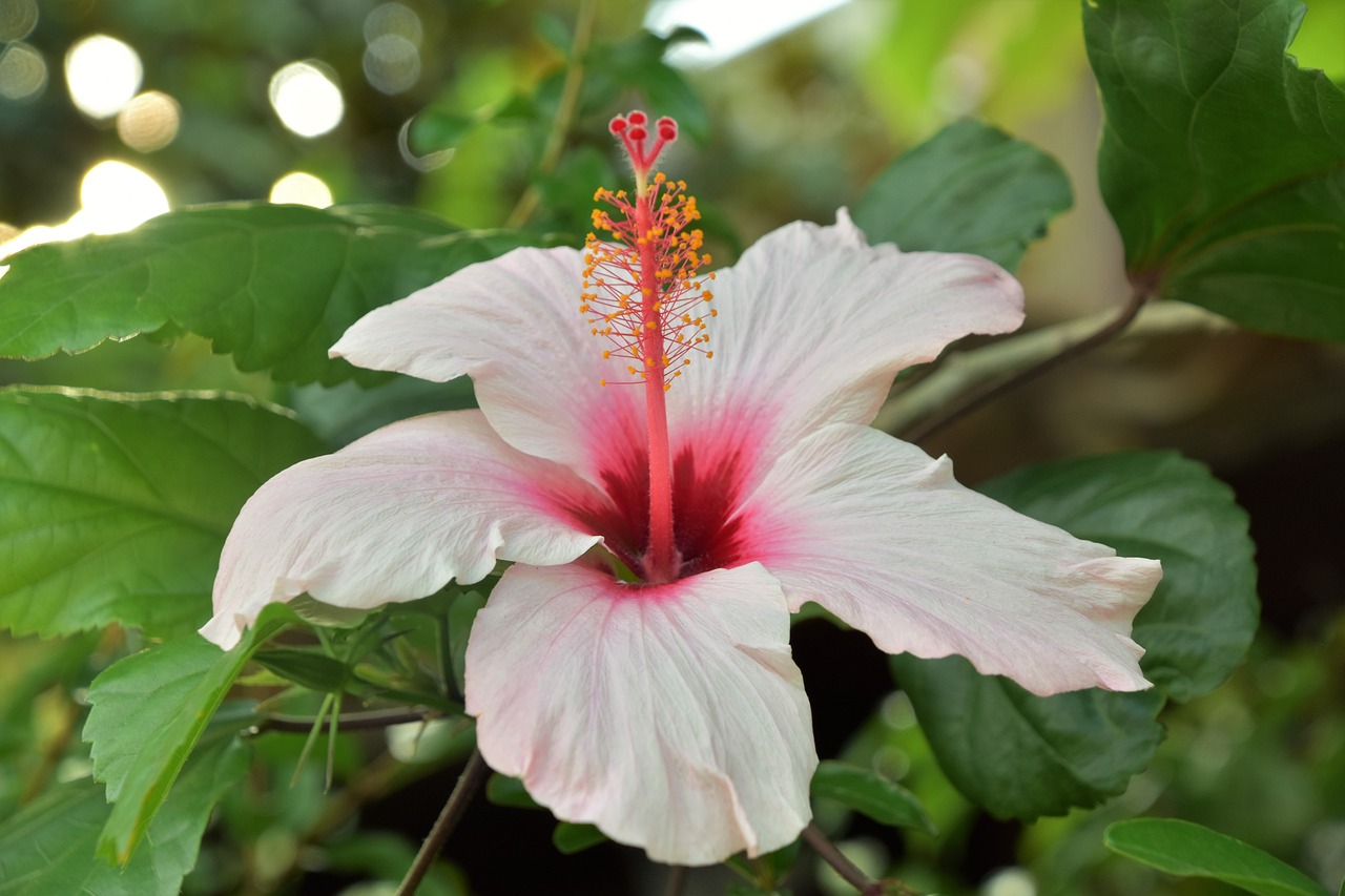 濟寧南風(fēng)花園最新動(dòng)態(tài)更新，濟寧南風(fēng)花園最新概況