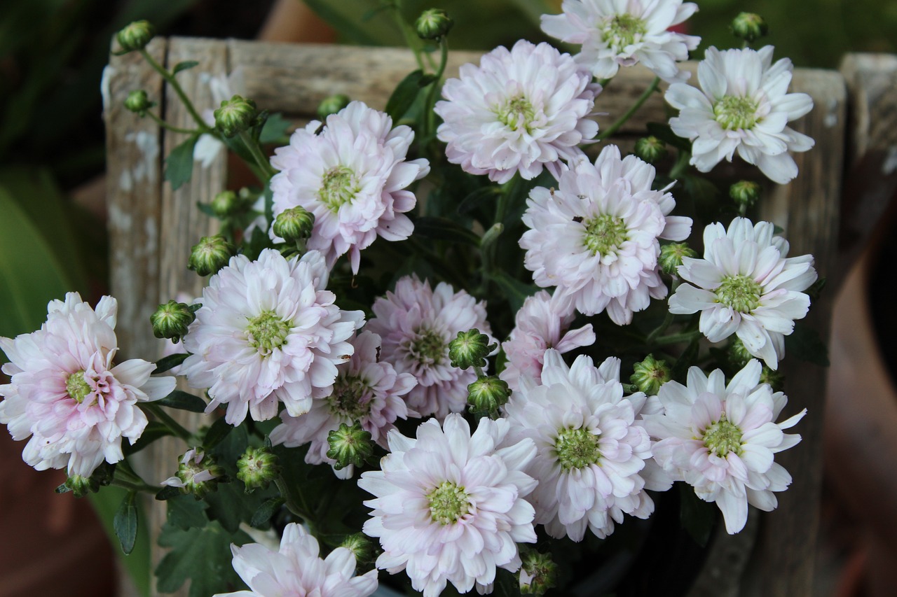 丹陽(yáng)昆侖華府最新動(dòng)態(tài)解析，深度了解最新消息