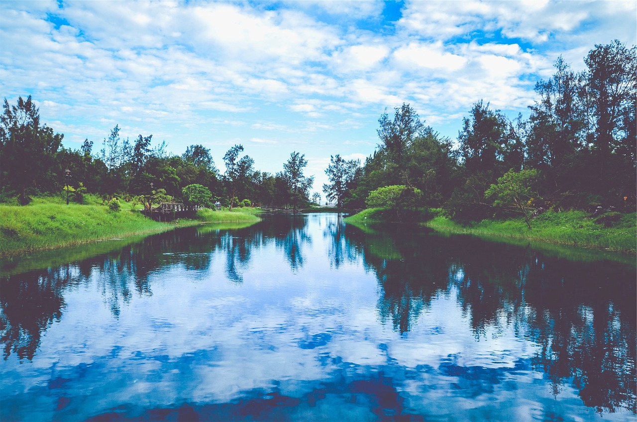 韓國薩德最新動(dòng)態(tài)，全球關(guān)注下的焦點(diǎn)事件分析視頻揭秘最新消息