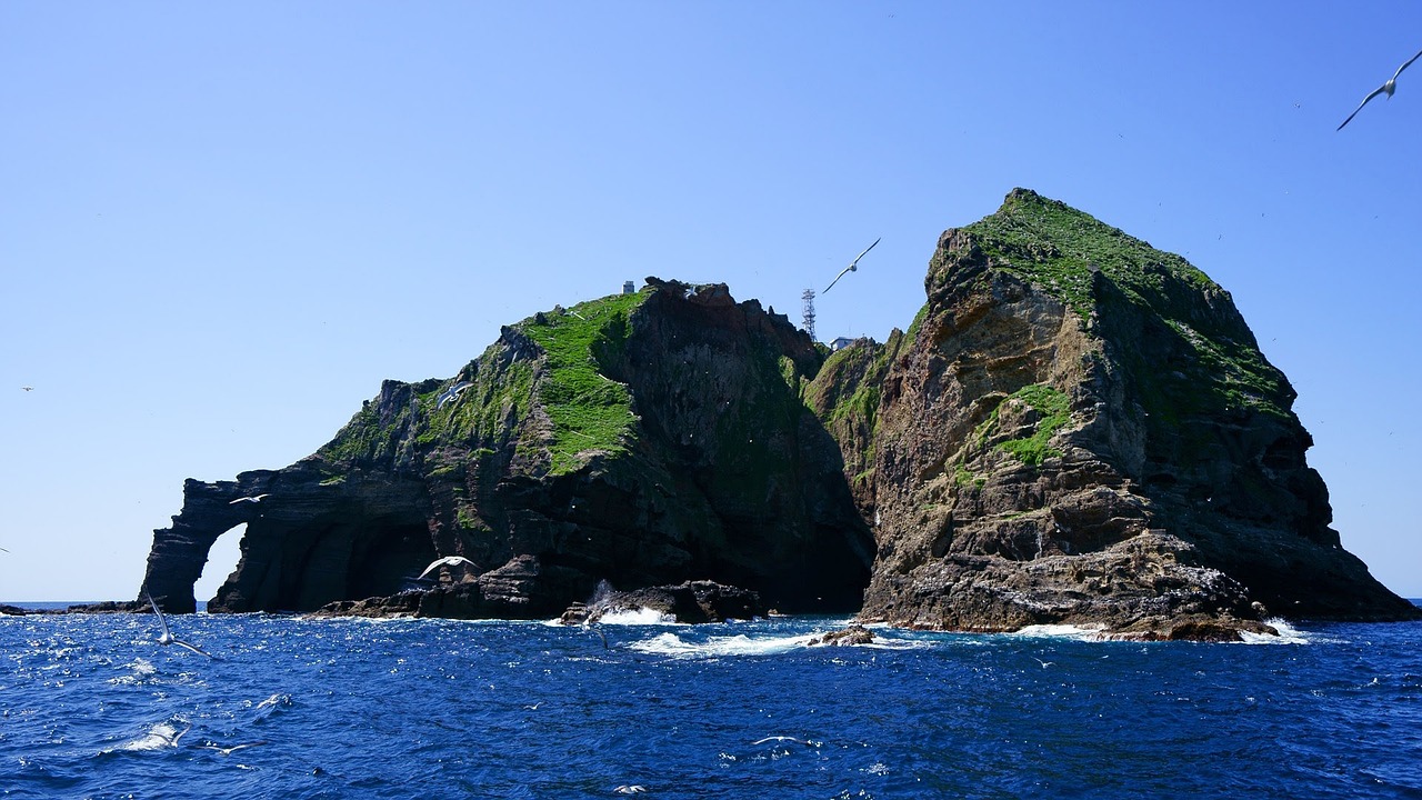 鈞魚(yú)島最新消息視頻揭秘，東海釣魚(yú)島爭端的新動(dòng)態(tài)