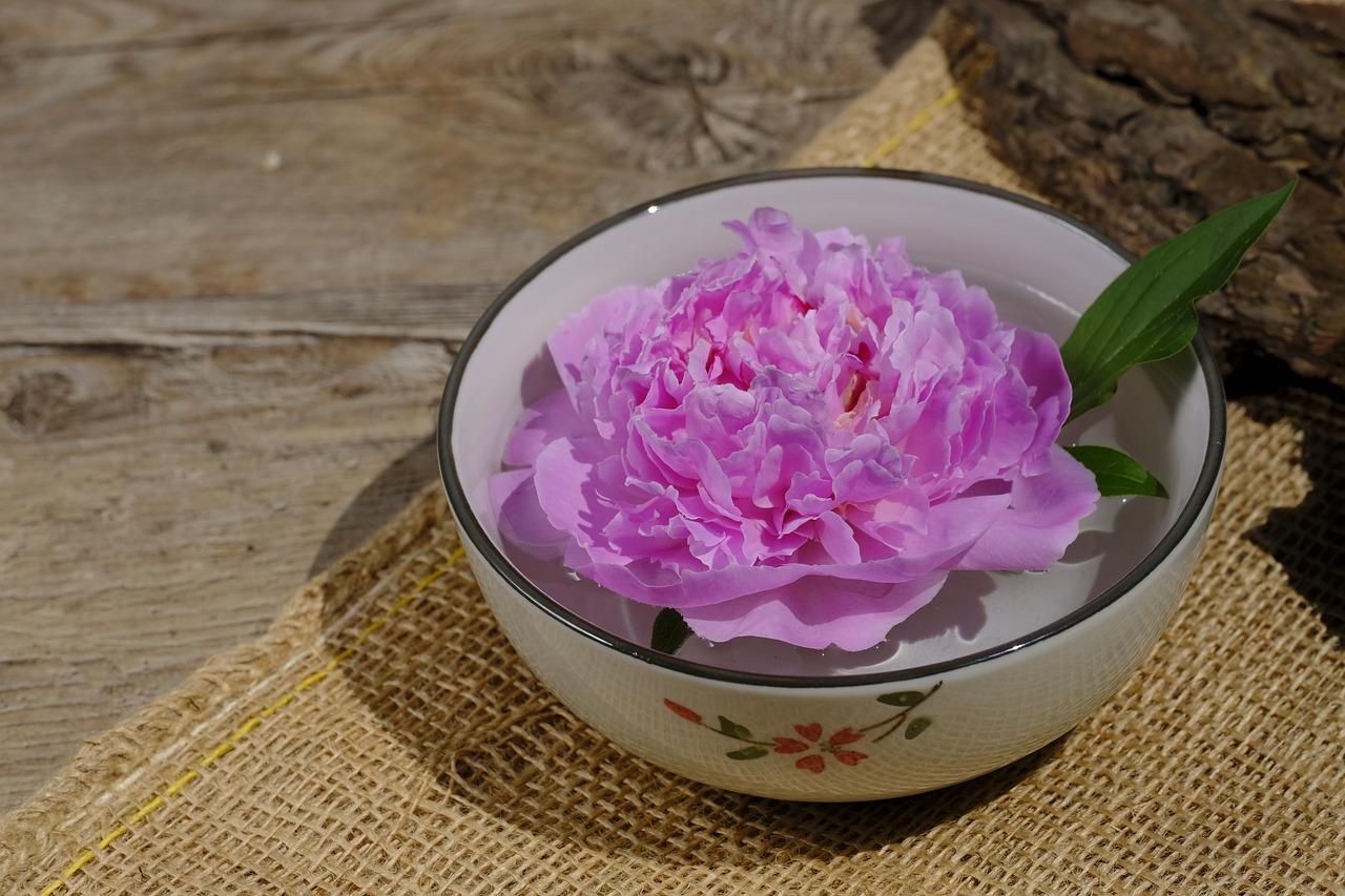 大康牧業(yè)利好消息深度解析，最新動(dòng)態(tài)帶來(lái)積極前景