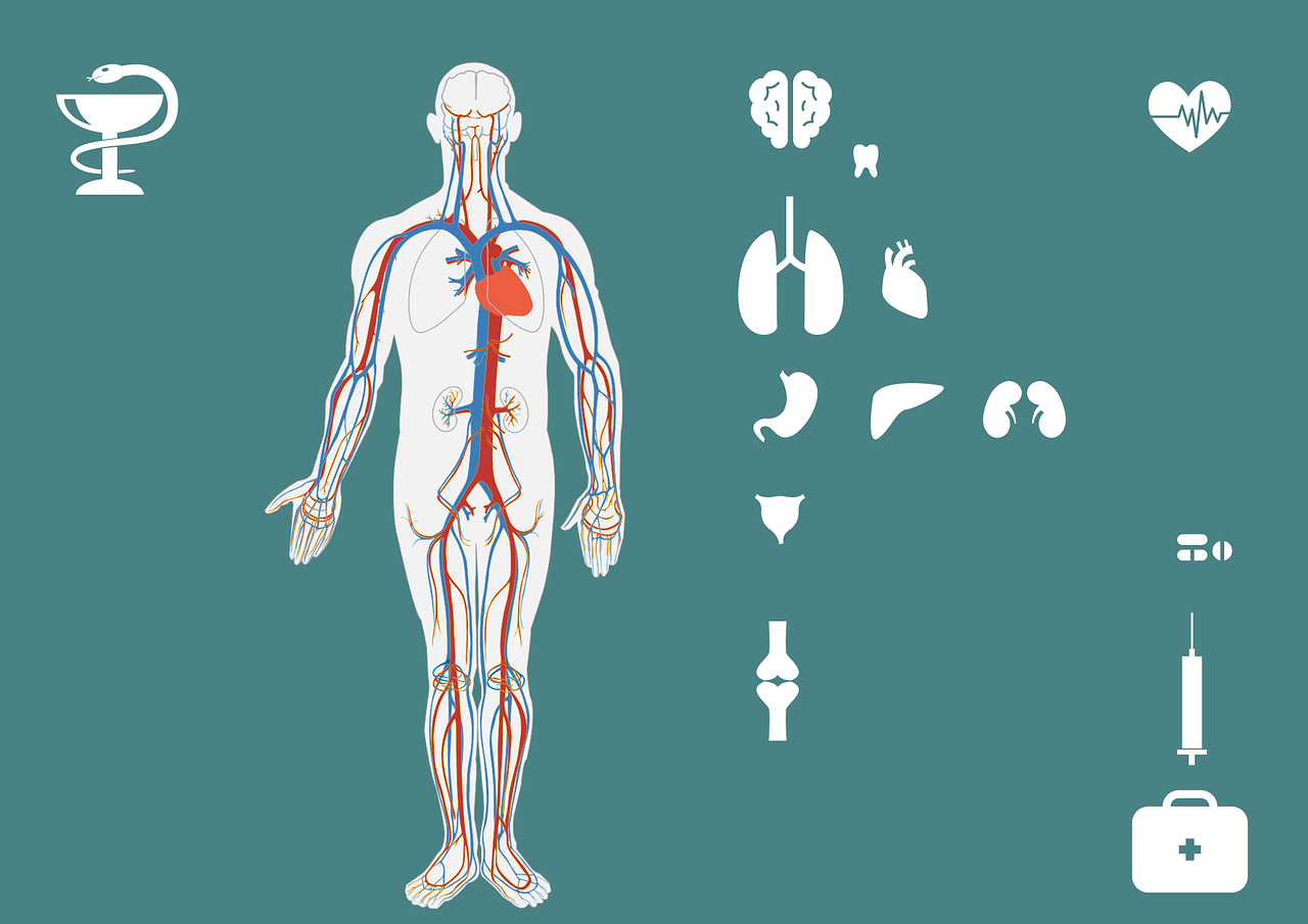 急診搶救流程圖優(yōu)化，提升搶救成功率與急救服務(wù)質(zhì)量