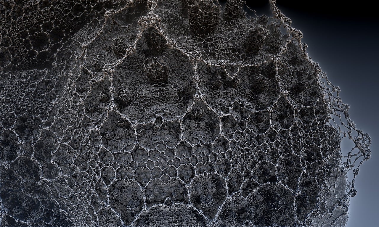 遼寧隋顯利最新動(dòng)態(tài)，傳奇人物的嶄新篇章