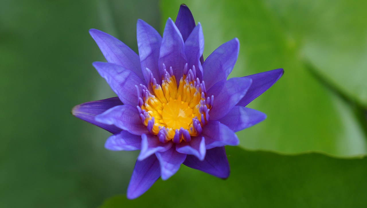 雙陽(yáng)區火車(chē)站邁向現代化，提升服務(wù)質(zhì)量，最新動(dòng)態(tài)報告