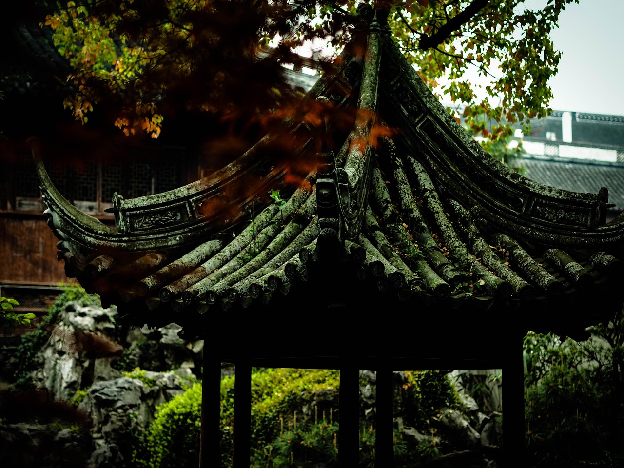 中國女排隊蓄勢待發(fā)，展現新篇章，最新消息與動(dòng)態(tài)速遞